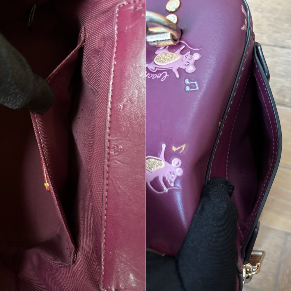 COACH Trail Bag With Party Mouse Print - Picture 12 of 16